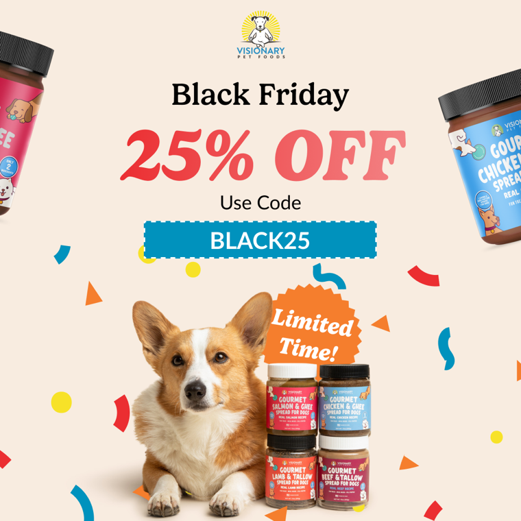 Static ad for Visionary Pet Foods