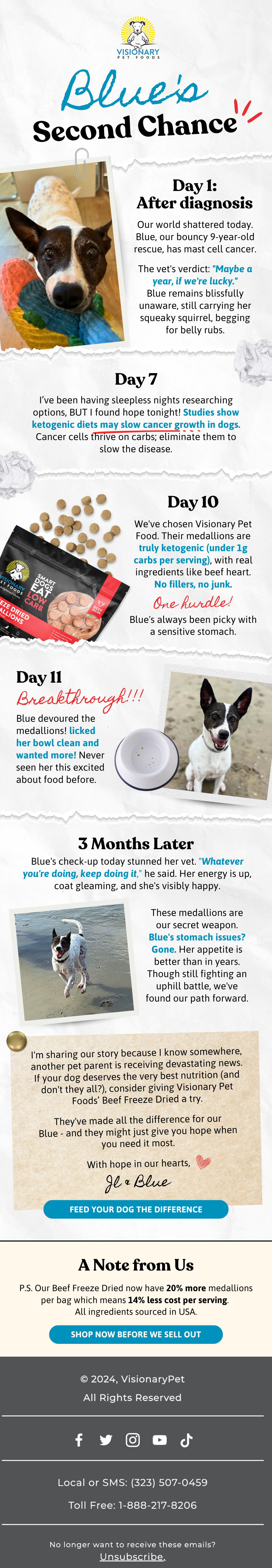 Email ad for Visionary Pet Foods